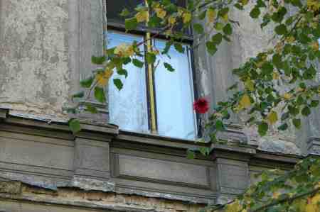 window-276922 1920